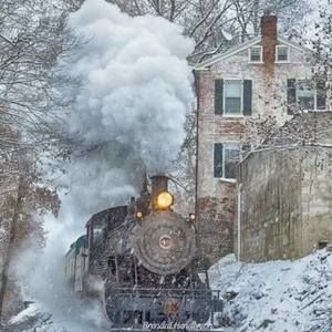 Meet your Posher, Renee